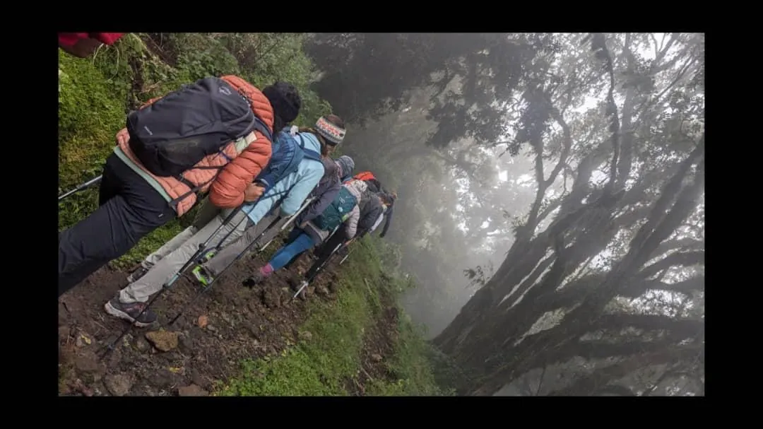 Mount Kilimanjaro trekking landscape